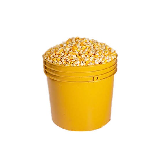 Corn- Yellow