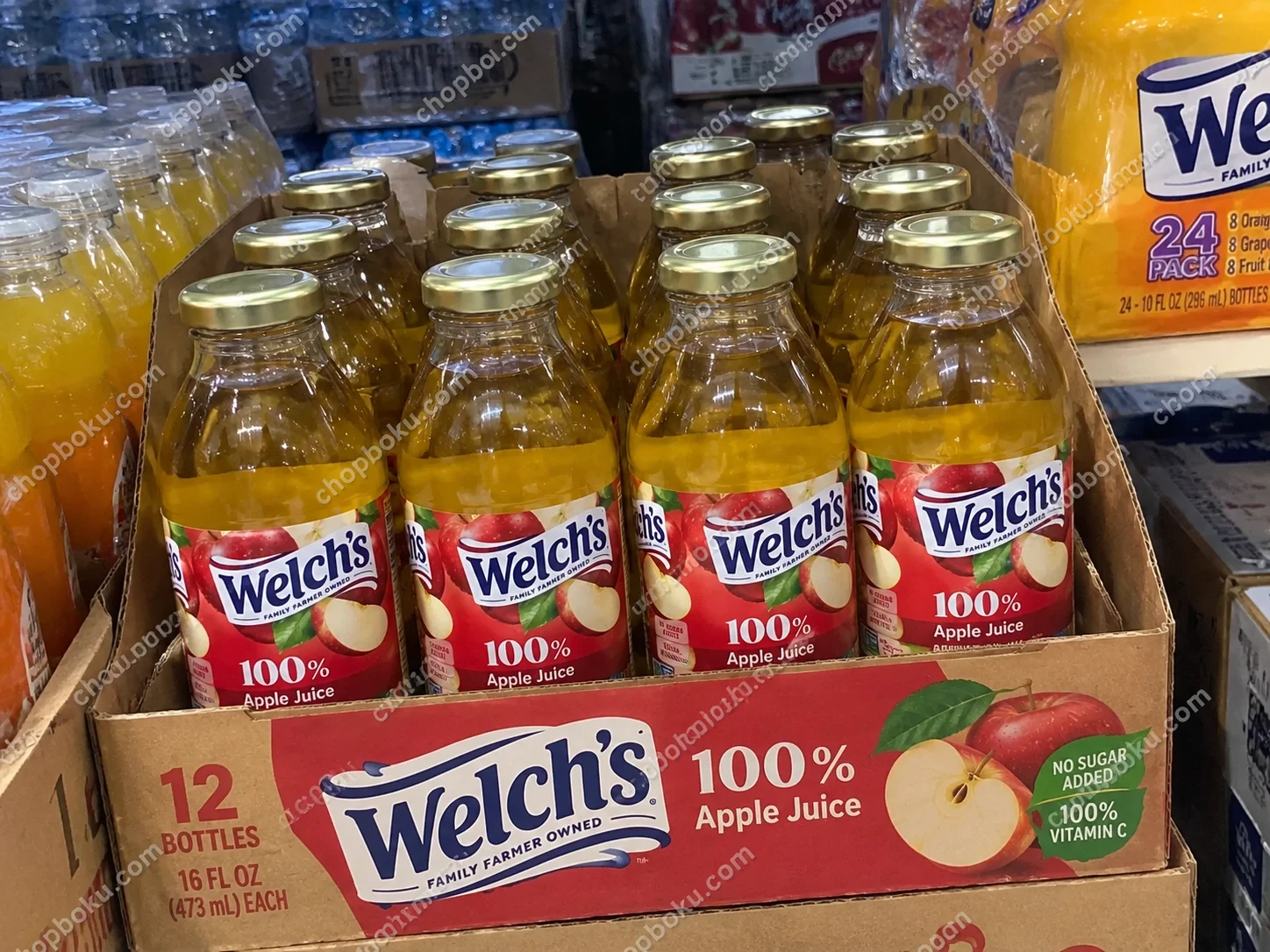 Welch's 100% Apple Juice 16 Fl Oz x 12 Bottles