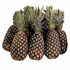 Pineapple