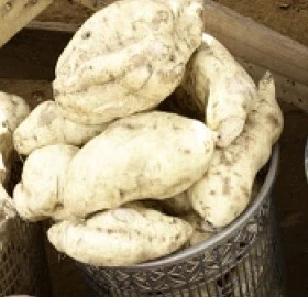 Fresh Sweet Potato (Orange & White) – Nutritious Tubers for Frying, Boiling & Roasting | Buy in Lagos, Abuja, Port Harcourt & Nigeria