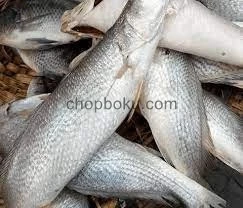 Ocean Fresh Croaker Fish – Premium Whole Croaker for Pepper Soup, Grilling & Nigerian Cooking